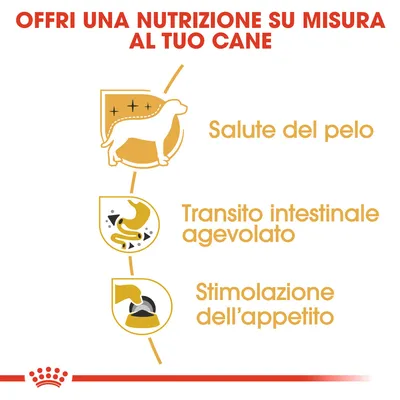 Offri una nutrizione su misura al tuo cane: salute del pelo, transito intestinale agevolato, stimolazione dell’appetito.