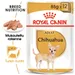Royal Canin Chihuahua Adult Mousse
