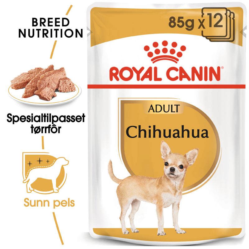 Royal Canin Breed Chihuahua Mousse