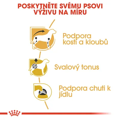 Poskytněte svému psovi výživu na míru: podpora kosti a kloubů, svalový tonus, podpora chuti k jídlu. Ilustrace psa a misky s jídlem.