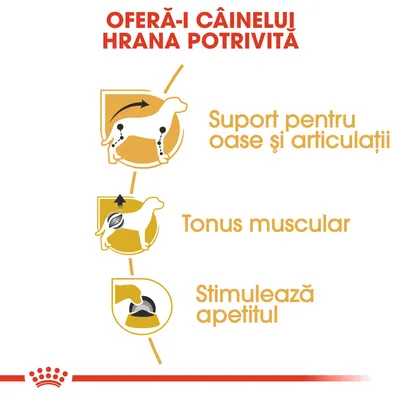OFERĂ-I CÂINELUI HRANA POTRIVITĂ. Suport pentru oase și articulații, tonus muscular, stimulează apetitul. Text în limba română.