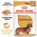 Royal Canin Dachshund Adult Mousse Hondenvoer