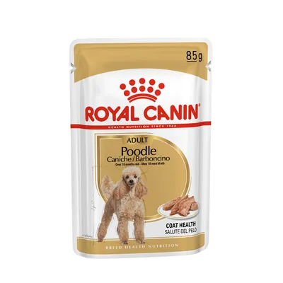 Plic hrană umedă Royal Canin Adult Poodle 85g, text vizibil: Caniche/Barboncino, Over 10 months old, Coat Health, imagine pudel și hrană pe farfurie.