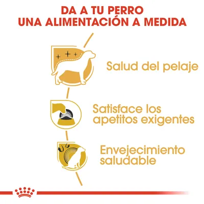 Da a tu perro una alimentación a medida. Salud del pelaje. Satisface los apetitos exigentes. Envejecimiento saludable.