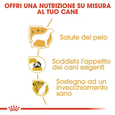 Offri una nutrizione su misura al tuo cane. Salute del pelo. Soddisfa l’appetito dei cani esigenti. Sostegno ad un invecchiamento sano.