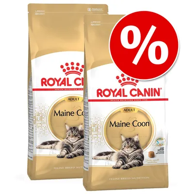 Two bags of Royal Canin Adult Maine Coon cat food with a large red percentage discount symbol in the top right corner. Visible text: Joint Support, Feline Breed Nutrition.