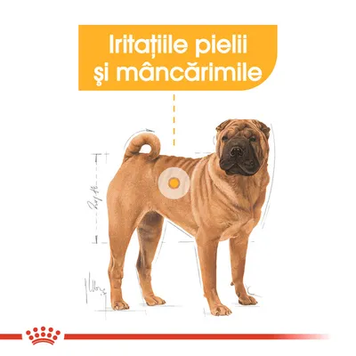 Iritațiile pielii și mâncărimile – text evidențiat deasupra unui câine maro, cu un cerc galben pe lateralul corpului. Marcaj grafic Royal Canin în partea de jos.