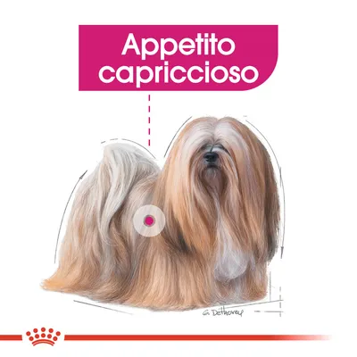 Testo visibile: Appetito capriccioso. Illustrazione di un cane a pelo lungo con firma G. Detthorep e simbolo Royal Canin in basso.