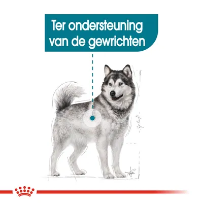 Tekst: Ter ondersteuning van de gewrichten. Illustratie van een hond met markering bij het heupgewricht.