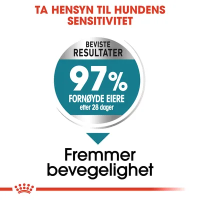 Royal Canin Maxi Joint Care