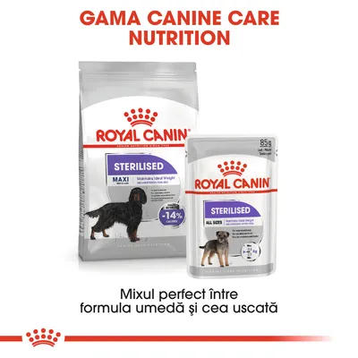 Royal Canin Sterilised Maxi hrană uscată și Royal Canin Sterilised All Sizes hrană umedă pentru câini. Text vizibil: Mixul perfect între formula umedă și cea uscată.
