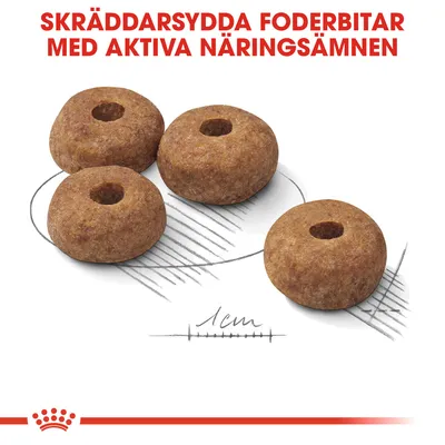 Fyra foderbitar med hål i mitten, text: 'Skräddarsydda foderbitar med aktiva näringsämnen', storleksangivelse 1 cm.