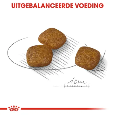 Drie brokjes hondenvoer, elk circa 1 cm groot. Bovenaan staat de tekst: 'UITGEBALANCEERDE VOEDING'.