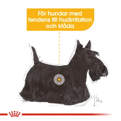 Text: För hundar med tendens till hudirritation och klåda. Illustration av en svart terrier med markering på kroppen. Text: För hundar med tendens till hudirritation och klåda. Illustration av en svart terrier med markering på kroppen.