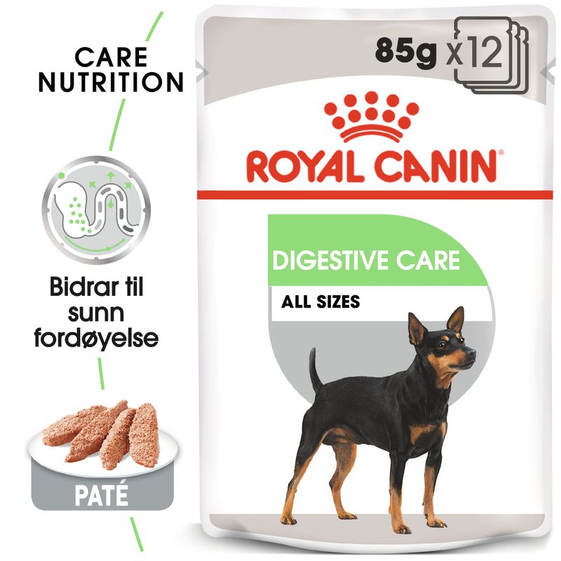  Royal Canin Digestive Care Mousse