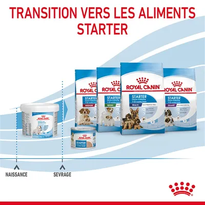 Transition vers les aliments Starter Royal Canin : boîtes et sachets pour chiots Medium, Mini, Maxi, Giant. Texte visible : Naissance, Sevrage.