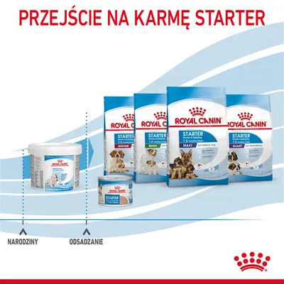 Przejście na karmę starter Royal Canin: opakowania Starter Medium, Mini, Maxi, Giant oraz puszka i pojemnik mleka. Oś czasu: narodziny, odsadzenie.
