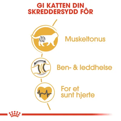 Royal Canin British Shorthair Adult