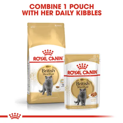 Instructional image showing Royal Canin British Shorthair dry food and wet pouch with text: Combine 1 pouch with her daily kibbles.