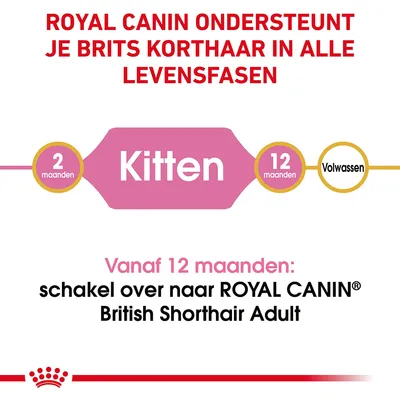 ROYAL CANIN ondersteunt Brits Korthaar in alle levensfasen. Kitten: 2–12 maanden. Vanaf 12 maanden: schakel over naar ROYAL CANIN British Shorthair Adult.