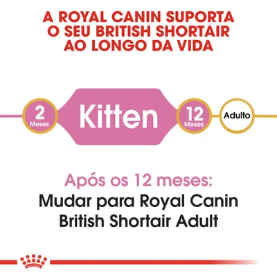 A Royal Canin suporta o seu British Shorthair ao longo da vida. 2 meses Kitten, 12 meses Adulto. Após os 12 meses: Mudar para Royal Canin British Shorthair Adult.