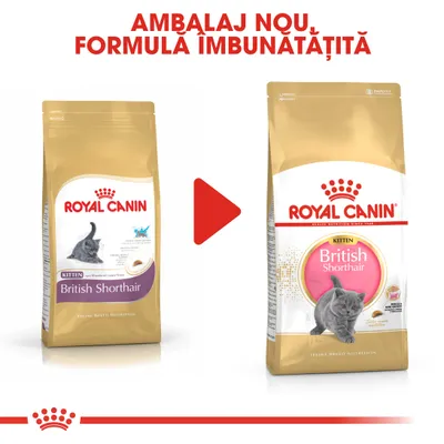 Imagine comparativă cu două pungi de hrană Royal Canin Kitten British Shorthair, vechi și nou ambalaj. Text sus: AMBALAJ NOU, FORMULA IMBUNĂTĂȚITĂ.
