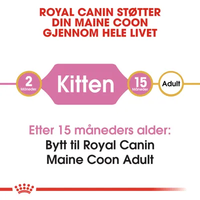 Royal Canin Maine Coon Kitten