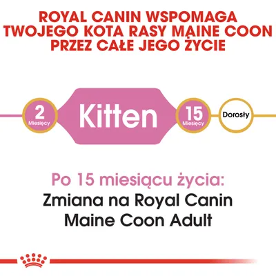 Royal Canin wspomaga kota rasy Maine Coon przez całe życie. Po 15 miesiącu życia: zmiana na Royal Canin Maine Coon Adult. Kitten od 2 do 15 miesięcy, dorosły po 15 miesiącach.