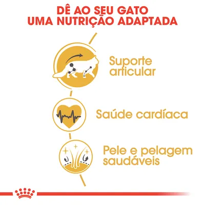 Dê ao seu gato uma nutrição adaptada: suporte articular, saúde cardíaca, pele e pelagem saudáveis.