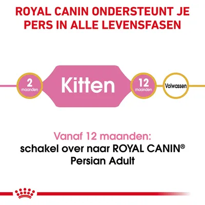ROYAL CANIN ondersteunt je Pers in alle levensfasen. Kitten: 2–12 maanden. Vanaf 12 maanden: schakel over naar ROYAL CANIN Persian Adult.