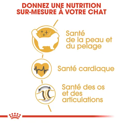 Donnez une nutrition sur-mesure à votre chat : santé de la peau et du pelage, santé cardiaque, santé des os et des articulations.