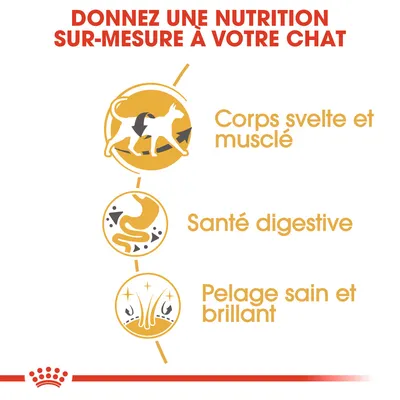 Donnez une nutrition sur-mesure à votre chat : corps svelte et musclé, santé digestive, pelage sain et brillant.