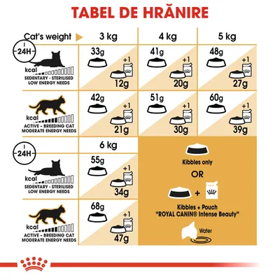 Tabel de hrănire pentru pisici Royal Canin: doze zilnice recomandate în funcție de greutate (3–6 kg) și nivel de activitate, cu opțiuni hrană uscată sau combinată cu plic Intense Beauty.