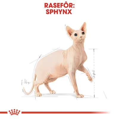 Royal Canin Sphynx Adult