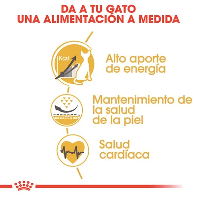 Da a tu gato una alimentación a medida: alto aporte de energía, mantenimiento de la salud de la piel, salud cardíaca.
