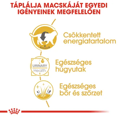Táplálja macskáját egyedi igényeinek megfelelően: csökkentett energiatartalom, egészséges húgyutak, egészséges bőr és szőrzet. URINARY Health felirat látható.