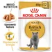 Royal Canin British Shorthair Adult - v omáčce