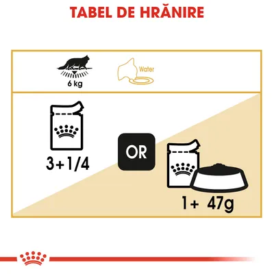 Tabel de hrănire pentru pisică de 6 kg: 3 plicuri și un sfert sau 1 plic plus 47 g hrană uscată. Include simbol pentru apă.