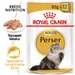 Royal Canin Persian Adult Mousse