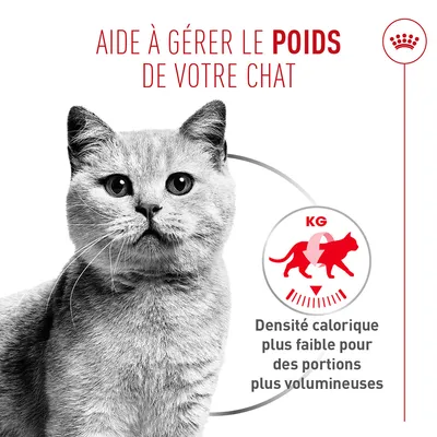 Aide à contrôler le poids de votre chat. Densité calorique réduite pour des portions plus grandes. Aide à contrôler le poids de votre chat. Densité calorique réduite pour des portions plus grandes.