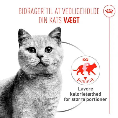 Bemærk: Bidrager til vægtvedligeholdelse, lavere kalorietæthed for større portioner. Illustration af en kat med symbol og tekst på dansk. Bemærk: Bidrager til vægtvedligeholdelse, lavere kalorietæthed for større portioner. Illustration af en kat med symbol og tekst på dansk.