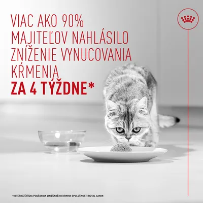 Royal Canin Appetite Control Care AirLift Mousse Royal Canin Appetite Control Care AirLift Mousse