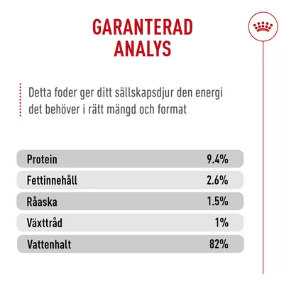 Royal Canin Appetite Control Care AirLift Mousse