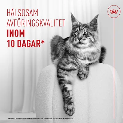 Royal Canin Digestive Care AirLift Mousse Royal Canin Digestive Care AirLift Mousse