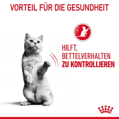 Vorteil für die Gesundheit: Hilft, Bettelverhalten zu kontrollieren. Bild einer stehenden Katze und Royal Canin Logo.