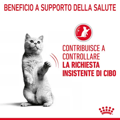Beneficio a supporto della salute. Contribuisce a controllare la richiesta insistente di cibo.