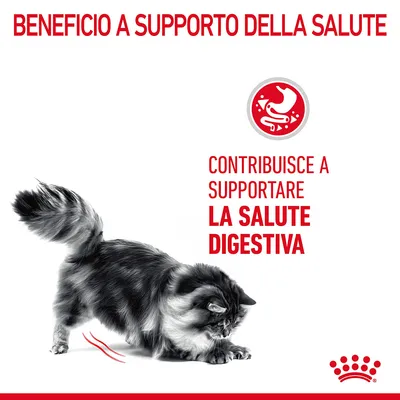 Beneficio a supporto della salute. Contribuisce a supportare la salute digestiva.