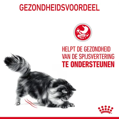 Gezondheidsvoordeel: helpt de gezondheid van de spijsvertering te ondersteunen. Afbeelding van een kat en rood pictogram met maag.