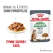 Royal Canin Digestive Care i saus