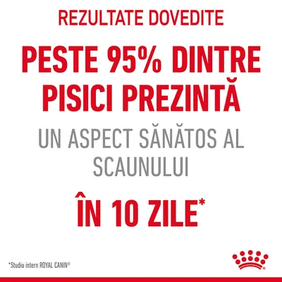 Rezultate dovedite: peste 95% dintre pisici prezintă un aspect sănătos al scaunului în 10 zile. *Studiu intern ROYAL CANIN.